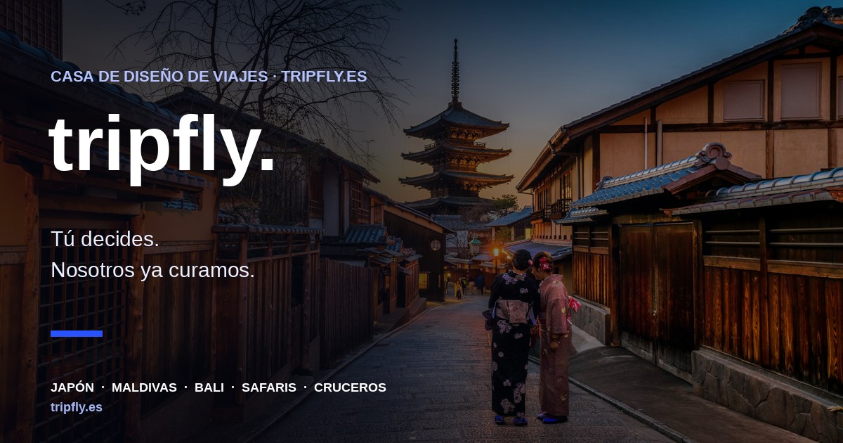 Tripfly · Tu copiloto de viajes